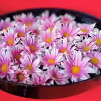 阿邪訶根神社の手水舎