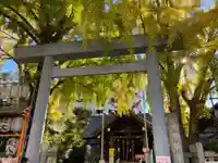 波除神社(波除稲荷神社)の鳥居