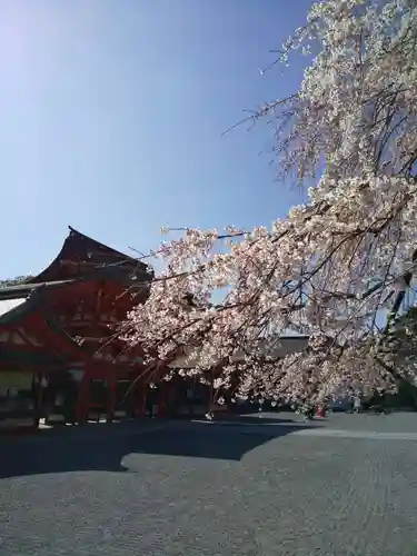 近江神宮(滋賀県)