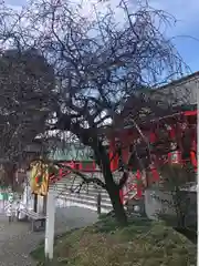 箱崎八幡神社の庭園