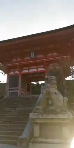 清水寺の狛犬