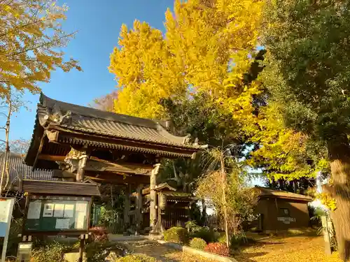 徳星寺の山門・神門