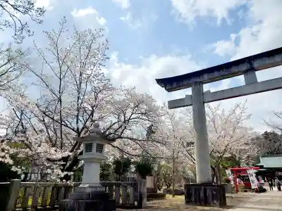 茨城縣護國神社の{uncategorized: "未分類", other: "その他", undefined: "問題あり", building: "その他建物", grave: "お墓", sacred_gate: "鳥居", guardian: "狛犬", statue: "像", buddha: "仏像", history: "歴史", nature: "自然", garden: "庭園", animal: "動物", pagoda: "塔", temizu: "手水舎", mountain_gate: "山門・神門", sanctuary: "本殿・本堂", subordinate: "末社・摂社", art: "芸術", scenery: "景色", jizo: "地蔵", ema: "絵馬", goshuin: "御朱印", omikuji: "おみくじ", items: "授与品その他", amulet: "お守り", goshuincho: "御朱印帳", eats: "食事", festival: "お祭り", votive_dance: "神楽", shichigosan: "七五三参", wedding: "結婚式", experience: "体験その他", initially: "初詣", around: "周辺", anti_infection: "感染症対策"}