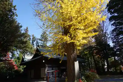 國魂神社の自然