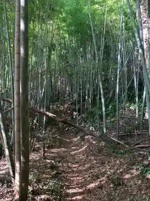 熊野神社(千葉県)