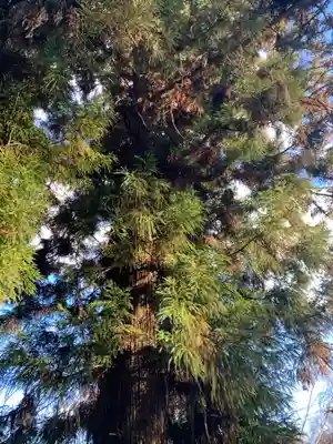 八幡神社(福島県)