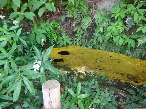 白笹稲荷神社の自然