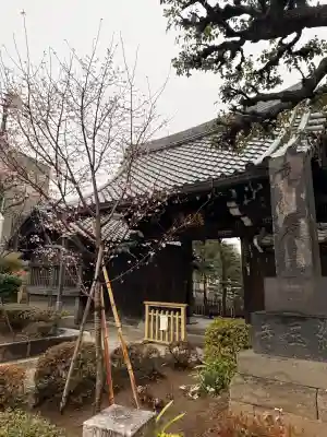 本行寺の{uncategorized: "未分類", other: "その他", undefined: "問題あり", building: "その他建物", grave: "お墓", sacred_gate: "鳥居", guardian: "狛犬", statue: "像", buddha: "仏像", history: "歴史", nature: "自然", garden: "庭園", animal: "動物", pagoda: "塔", temizu: "手水舎", mountain_gate: "山門・神門", sanctuary: "本殿・本堂", subordinate: "末社・摂社", art: "芸術", scenery: "景色", jizo: "地蔵", ema: "絵馬", goshuin: "御朱印", omikuji: "おみくじ", items: "授与品その他", amulet: "お守り", goshuincho: "御朱印帳", eats: "食事", festival: "お祭り", votive_dance: "神楽", shichigosan: "七五三参", wedding: "結婚式", experience: "体験その他", initially: "初詣", around: "周辺", anti_infection: "感染症対策"}