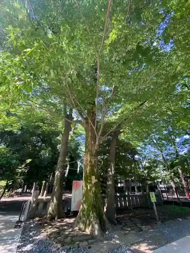 布多天神社の自然