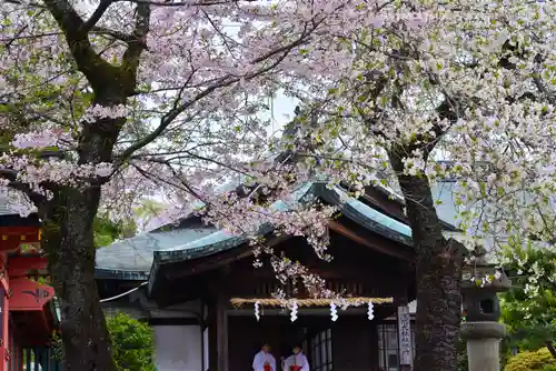 富士山本宮浅間大社(静岡県)