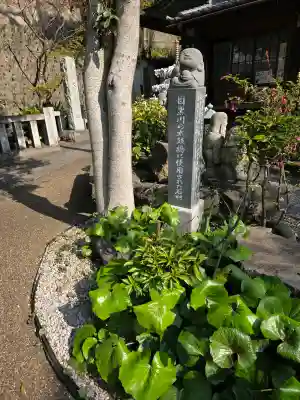 大圓寺の{uncategorized: "未分類", other: "その他", undefined: "問題あり", building: "その他建物", grave: "お墓", sacred_gate: "鳥居", guardian: "狛犬", statue: "像", buddha: "仏像", history: "歴史", nature: "自然", garden: "庭園", animal: "動物", pagoda: "塔", temizu: "手水舎", mountain_gate: "山門・神門", sanctuary: "本殿・本堂", subordinate: "末社・摂社", art: "芸術", scenery: "景色", jizo: "地蔵", ema: "絵馬", goshuin: "御朱印", omikuji: "おみくじ", items: "授与品その他", amulet: "お守り", goshuincho: "御朱印帳", eats: "食事", festival: "お祭り", votive_dance: "神楽", shichigosan: "七五三参", wedding: "結婚式", experience: "体験その他", initially: "初詣", around: "周辺", anti_infection: "感染症対策"}