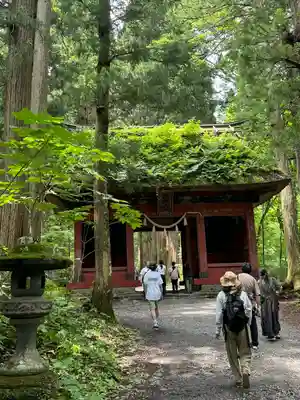 戸隠神社奥社(長野県)