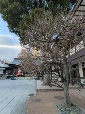 熊野神社(東京都)