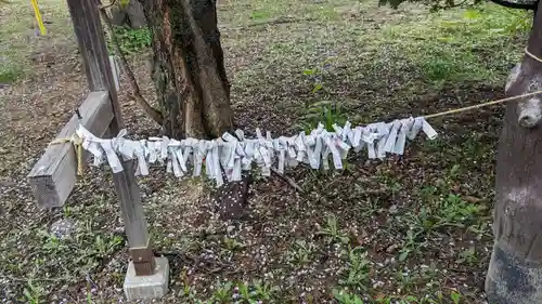 帯広三吉神社のおみくじ