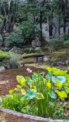 本法寺(京都府)