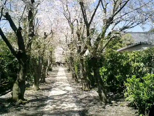極楽寺（霊鷲山感應院極楽律寺）の周辺