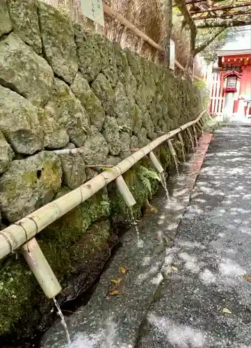 富士山本宮浅間大社(静岡県)