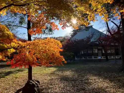 淨眞寺(東京都)