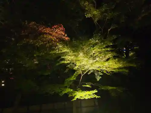 清水寺(京都府)