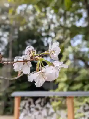 赤坂氷川神社(東京都)