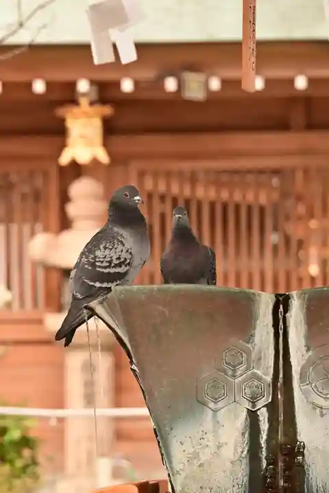 櫛田神社(福岡県)
