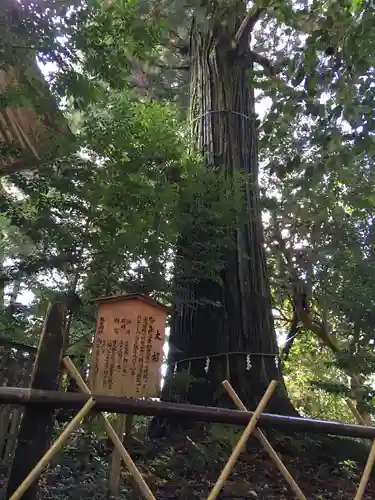 須佐神社の自然