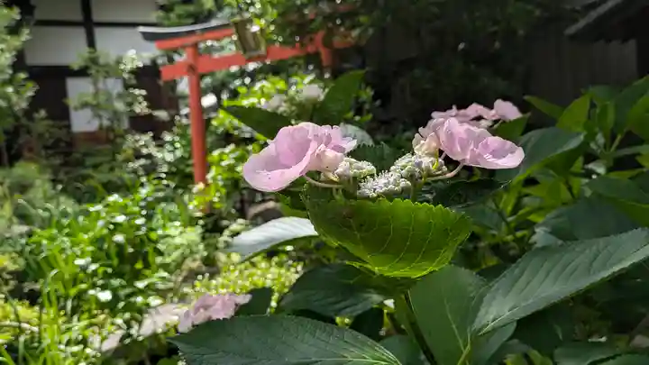 宝蔵寺(京都府)