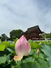 伊賀八幡宮(愛知県)