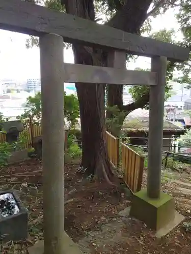 武州白子熊野神社の鳥居