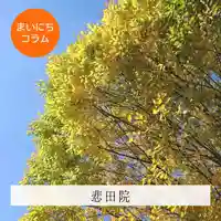 壽徳寺 じゅとくじ(福島県)