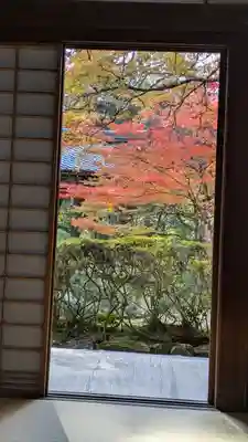 西明寺(京都府)