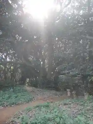 猿田神社(千葉県)