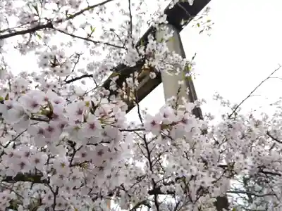 神明神社(福井県)