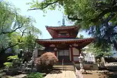 新井薬師（梅照院）(東京都)