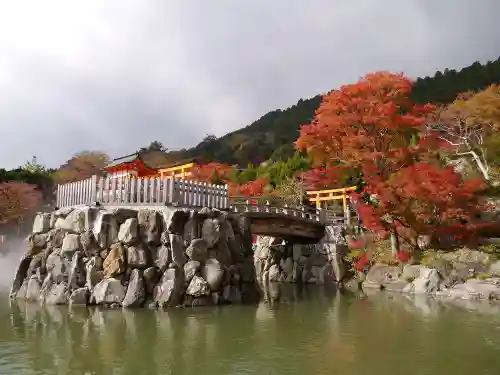 勝尾寺の庭園