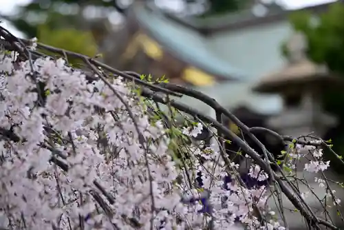 尾久八幡神社の自然