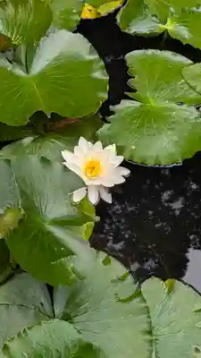 大原野神社(京都府)