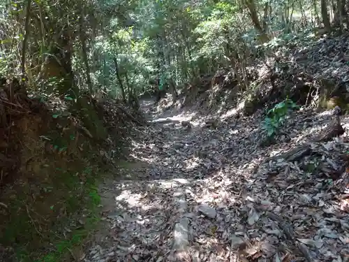 毘沙門窟の自然