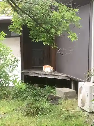太興院の動物