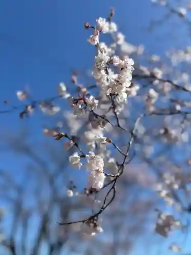 堤治神社の{uncategorized: "未分類", other: "その他", undefined: "問題あり", building: "その他建物", grave: "お墓", sacred_gate: "鳥居", guardian: "狛犬", statue: "像", buddha: "仏像", history: "歴史", nature: "自然", garden: "庭園", animal: "動物", pagoda: "塔", temizu: "手水舎", mountain_gate: "山門・神門", sanctuary: "本殿・本堂", subordinate: "末社・摂社", art: "芸術", scenery: "景色", jizo: "地蔵", ema: "絵馬", goshuin: "御朱印", omikuji: "おみくじ", items: "授与品その他", amulet: "お守り", goshuincho: "御朱印帳", eats: "食事", festival: "お祭り", votive_dance: "神楽", shichigosan: "七五三参", wedding: "結婚式", experience: "体験その他", initially: "初詣", around: "周辺", anti_infection: "感染症対策"}