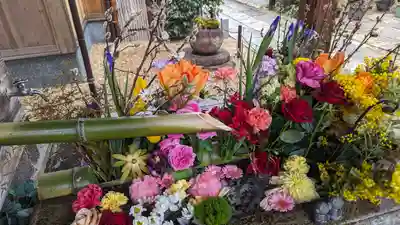 勝林寺(京都府)