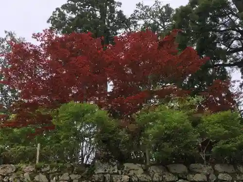 比叡山延暦寺の庭園