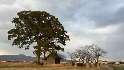 三社宮(徳島県)