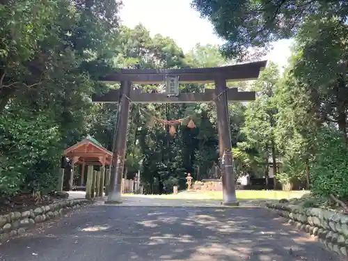 土田白鬚神社の鳥居