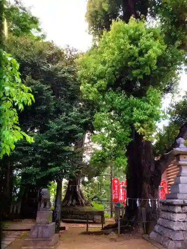 諏訪神社(東京都)