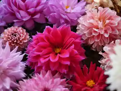 高司神社〜むすびの神の鎮まる社〜(福島県)