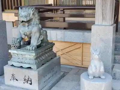 出雲大社新十津川分院の狛犬