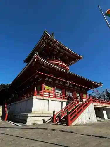 成田山平和大塔の{uncategorized: "未分類", other: "その他", undefined: "問題あり", building: "その他建物", grave: "お墓", sacred_gate: "鳥居", guardian: "狛犬", statue: "像", buddha: "仏像", history: "歴史", nature: "自然", garden: "庭園", animal: "動物", pagoda: "塔", temizu: "手水舎", mountain_gate: "山門・神門", sanctuary: "本殿・本堂", subordinate: "末社・摂社", art: "芸術", scenery: "景色", jizo: "地蔵", ema: "絵馬", goshuin: "御朱印", omikuji: "おみくじ", items: "授与品その他", amulet: "お守り", goshuincho: "御朱印帳", eats: "食事", festival: "お祭り", votive_dance: "神楽", shichigosan: "七五三参", wedding: "結婚式", experience: "体験その他", initially: "初詣", around: "周辺", anti_infection: "感染症対策"}