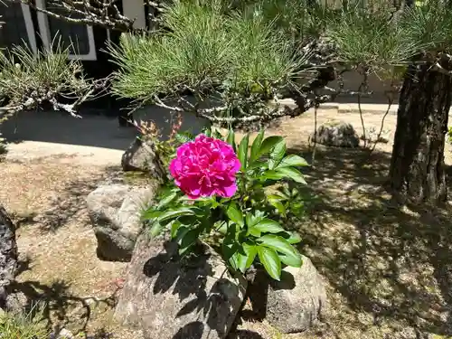 木舟山　順教寺(広島県)