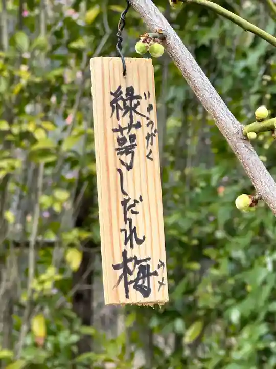 元興寺(奈良県)